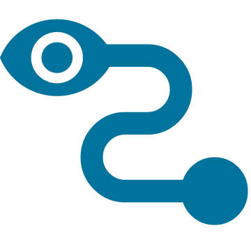 View Workflow Icon